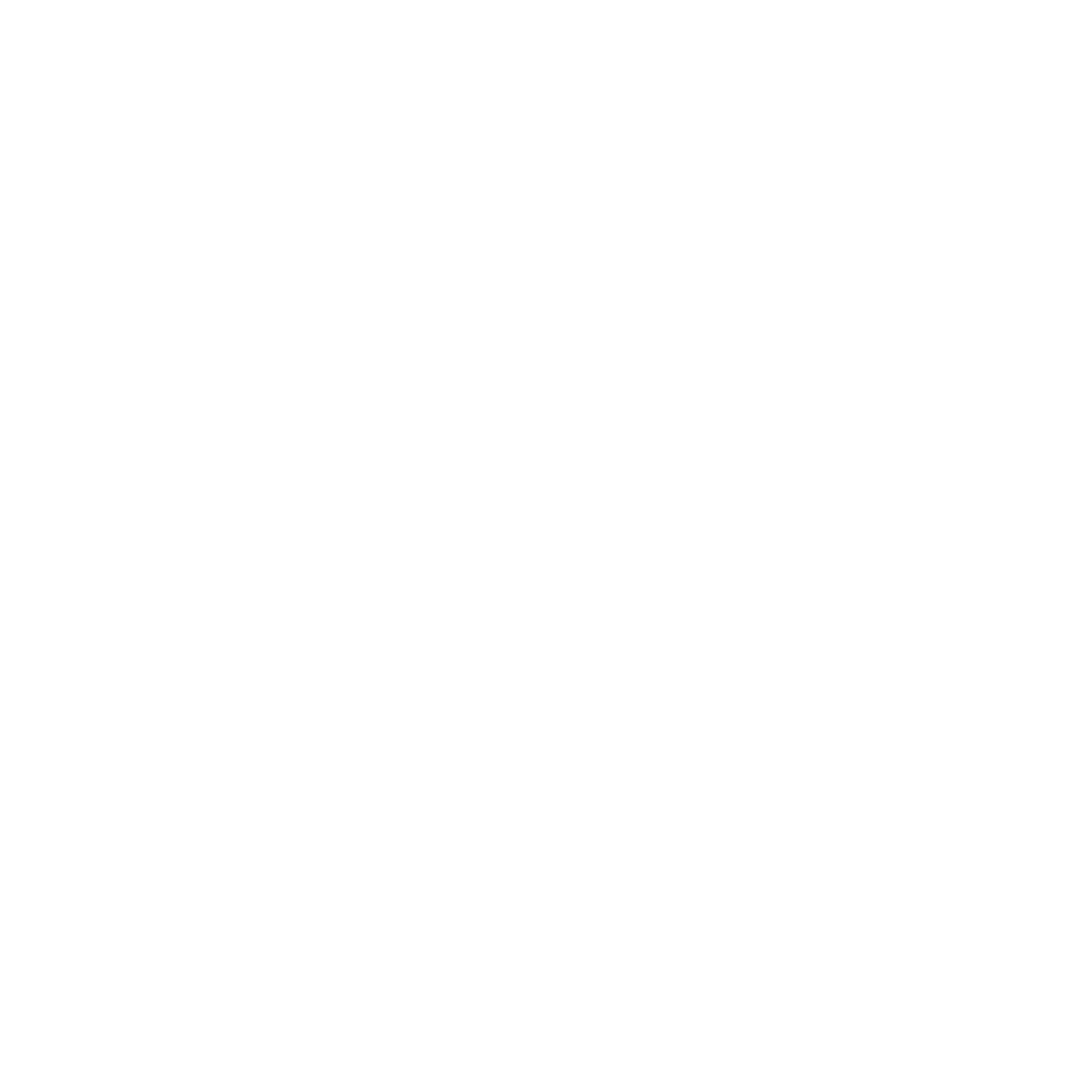 Lenoir-Ryhne logo